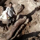 Illustration for article titled These Bones Might Be the Biggest Creature That Ever Walked the Earth